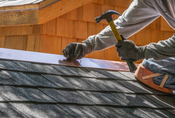 Best Asphalt Shingle Roofing  in Tecumseh, MI