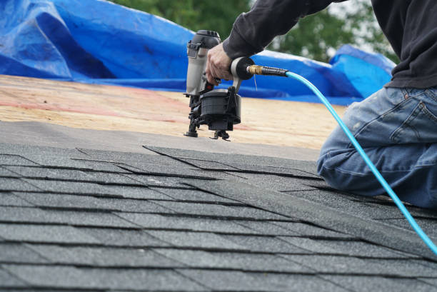 Best Storm Damage Roof Repair  in Tecumseh, MI