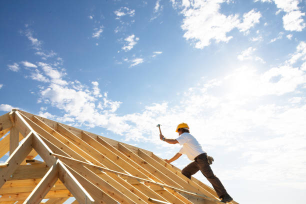 Best Asphalt Shingle Roofing  in Tecumseh, MI